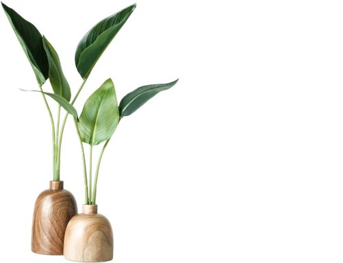 about youcetu Green plants